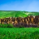 روستای کندوان