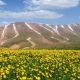 کوه سهند