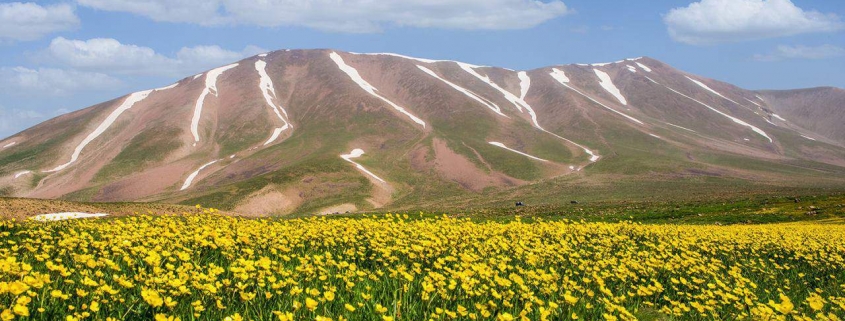 کوه سهند